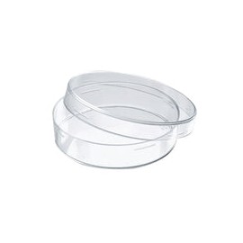 Caja Petri de vidrio 60x15mm. Modelo 1177-6