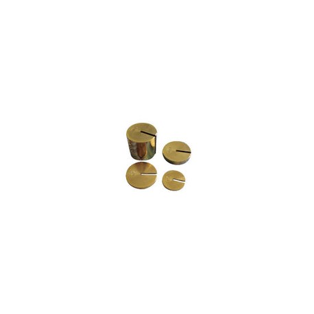 Juego de Pesas de Latón ranuradas para Aparato de Ley de Hooke. Modelo CV033