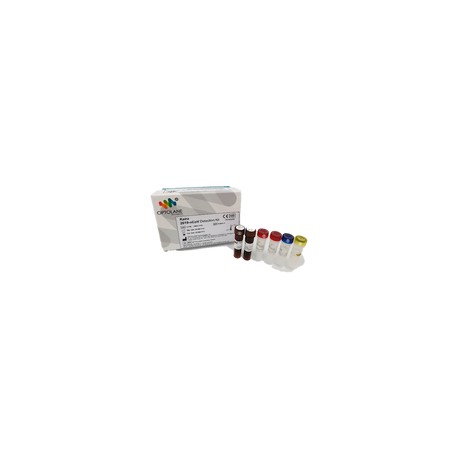 Kit de detección COVID-19 CON 100 pruebas. Modelo KAIRA 2019-NCOV