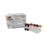 Kit de detección COVID-19 CON 100 pruebas. Modelo KAIRA 2019-NCOV