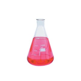 Matraz Erlenmeyer de 25 ml. Modelo. 4980-25