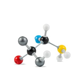 Modelo Molecular Orgánico para estudiante. Modelo M-13