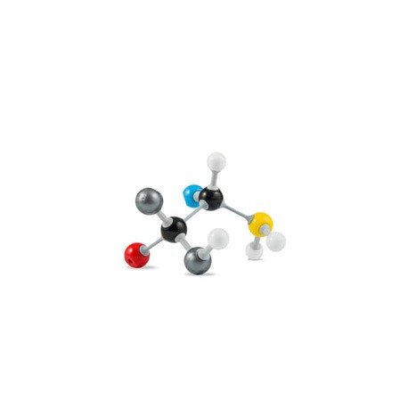 Modelo Molecular Orgánico para profesor. Modelo M-12