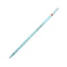 Pipetas graduadas, para vaciado total y parcial, clase AS. Modelo 243453401