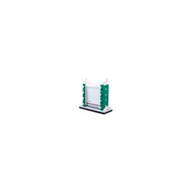 Sistema rápido de electroforesis vertical. Modelo CS-SCZ6
